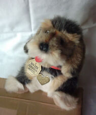 DER ORIGINAL FERNSEHWASTL AUS