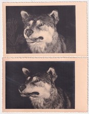 2  Fotokarten  STRALSUND