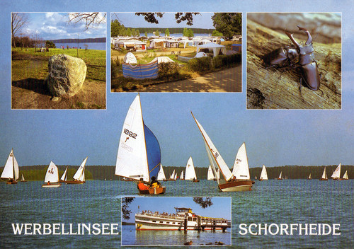 Ansichtskarte schorfheide - ,