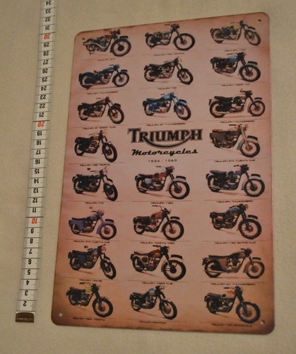 Triumph motorrad maschinen - triumph,