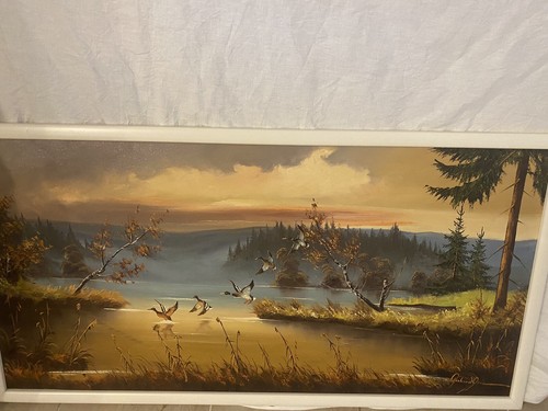 ölgemälde enten landschaft - enten,
