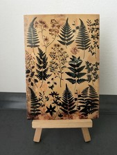 Postkarte Motivkarte, verschiedene Farn Arten, Pflanzen, Natur, Kunst