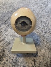Menschliches Auge Modell -