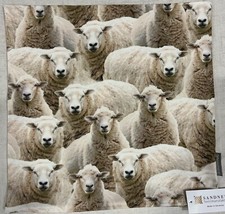 SANDNER Schafe Kissenhülle Kissenbezug Couchkissen Sofakissen Baumwolle 45x45 cm