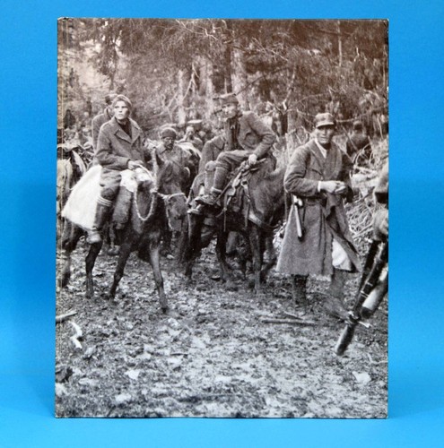 Partisans and guerrillas der - partisans,