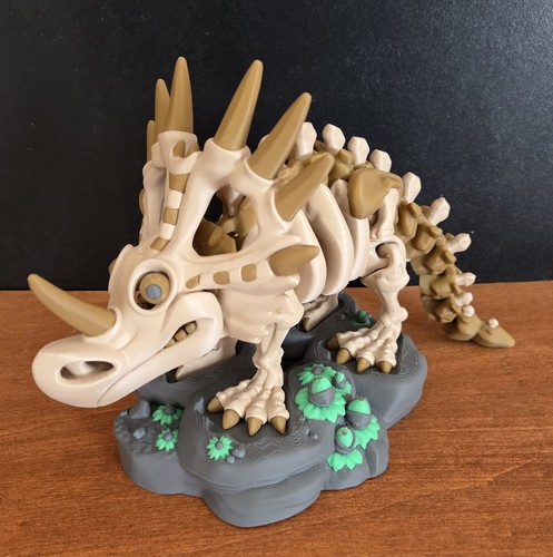 Dinosaurier skelett - dinosaurier,