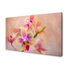 Leinwand-Bilder: Botanik Pflanzen Natur Orchidee, Größe: 40x30 cm bis 120x80 cm