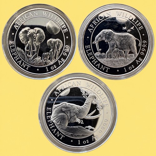 Somalia elefant 2014 2022 - somalia,