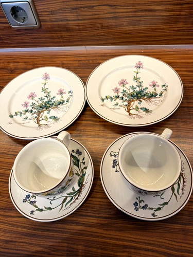 Villeroy boch botanica - boch,
