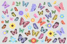 60 süße Schmetterlinge