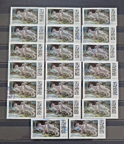 Brd 2021 junge - brd, x