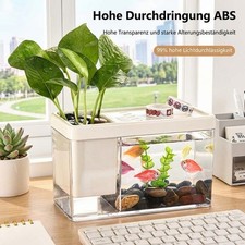 Mini-Aquarium
