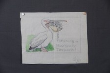 Paul Otto Engelhard Skizze Entwurf München Tierpark Pelikan Postkarte Karikatur