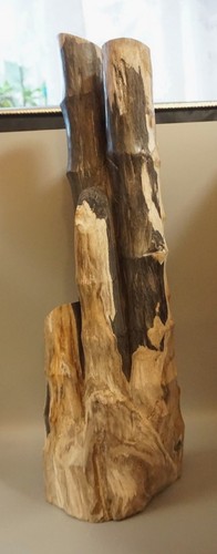 Versteinertes holz skulptur - holz,
