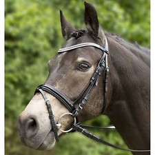 Trense, Trensenzaum, Zaum