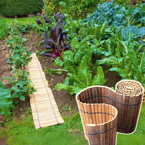 Bambus gartenweg - bambus,