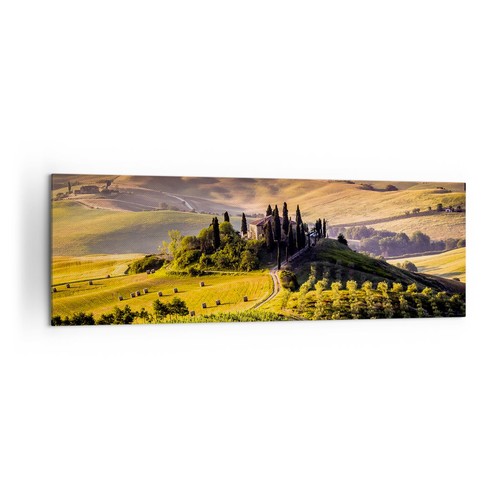 Wandbilder 160x50cm