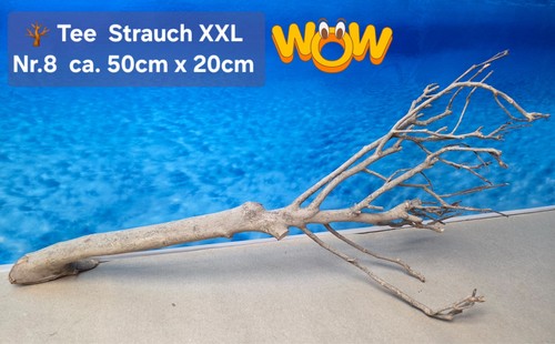 Xxl tee strauch aquarium - 🪴,