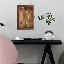 Holzproben Vitrine Schattenbox Kleinteilehalter Schmuck Aufbewahrungsbo `