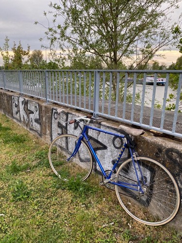 Fahrrad robust damen rennrad - fahrrad,