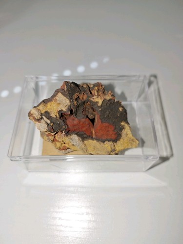 Realgar auripigment humboldt - x,