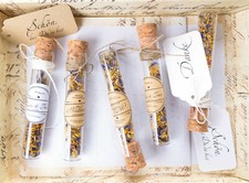 Glasröhrchen Gastgeschenke