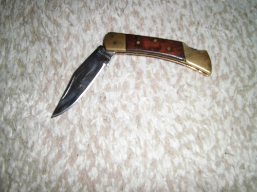 Stainless steel taschenmesser - stainless,