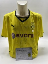 BVB Trikot 2013/2014