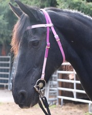 Wunderschöne "Biothane"