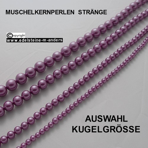 Shell muschel kern perlen - shell,