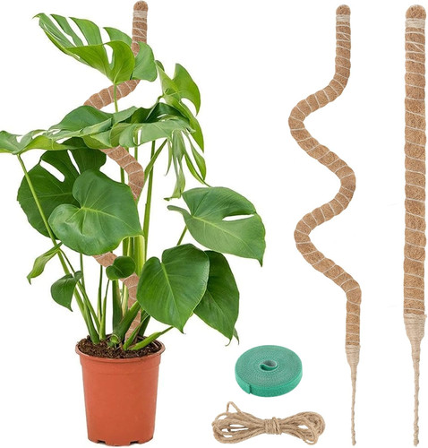 Pflanzenstütze 120cm - pflanzenstütze,,