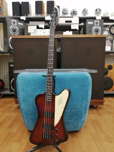 Epiphone thunder bird - thunder, iv