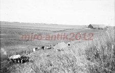 Photo negative, Jugendbann