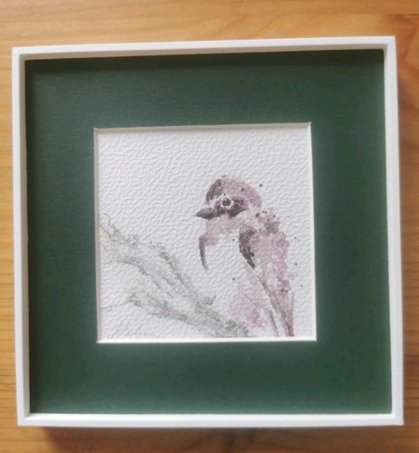 Aquarell zeichnung vogel - zeichnung,