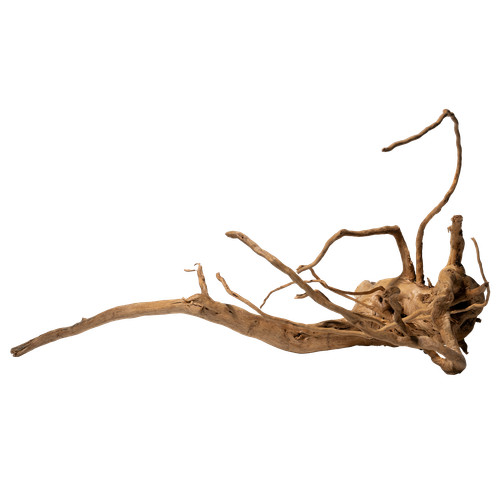 Spiderwood aquarium wurzel - spiderwood,