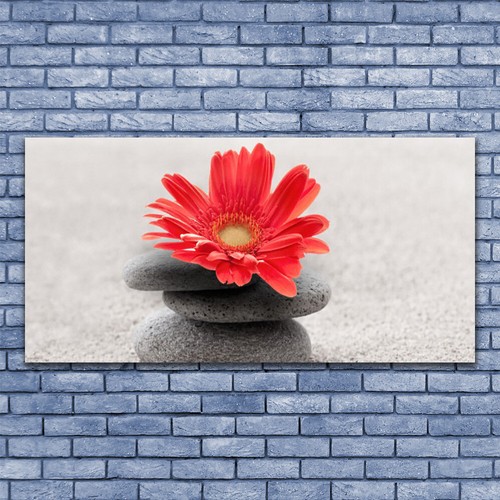 Acrylglasbilder wandbilder - acrylglasbilder,