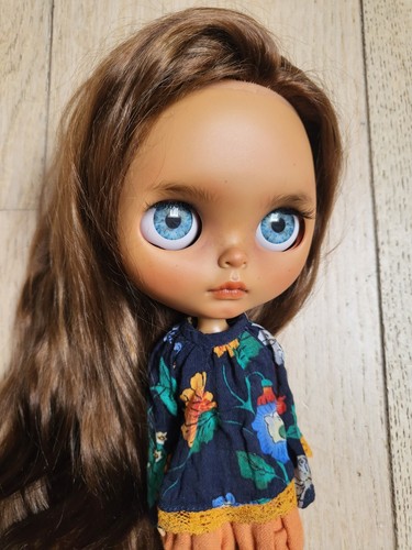 Blythe ferro doll - ferro,
