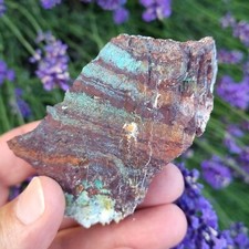 💎Video🌈Top gediegen