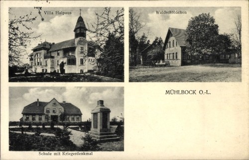 Ołobok mühlbock - ak,