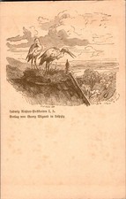 FEDER AK TIER TIERE STORCH AUF DACH UM 1900
