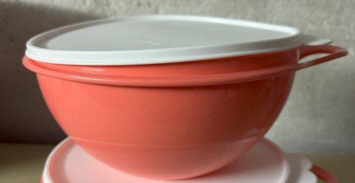 Tupperware maximilian l - maximilian, 2,75