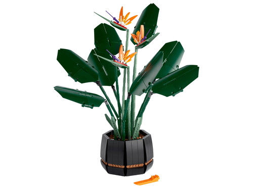 10289 botanicals paradiesvogel - 10289,