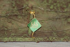 Unterstand mit Lineol