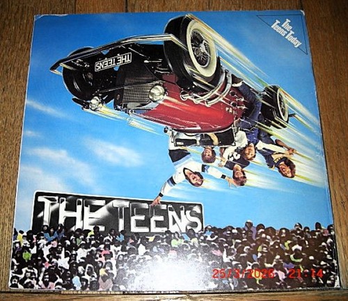The teens - lp,