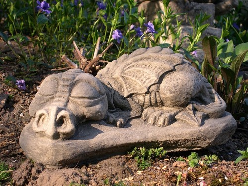 Drachen drache schlafend - ,