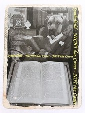 Goldelse Marlitt, E.: