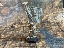 Cadianer Bannerträger /