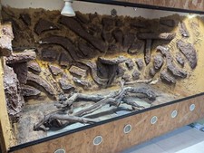 Terrarium, OSB, 123x83x63 cm, inkl. Thermostat, Beleuchtung, Deko