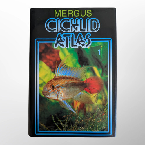 Baensch mergus cichlid atlas - cichlid,