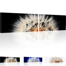 Bilder Pusteblume Dandelion